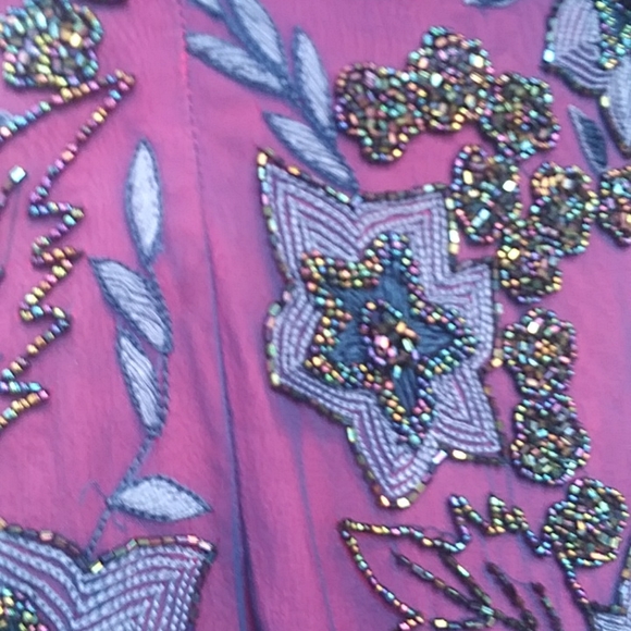 Stunning! Cache full length, blue beaded,sheer gown, with hot pink lining.Sz.2-4 - Picture 8 of 9